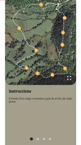 Game screenshot El camí del gat salvatge apk