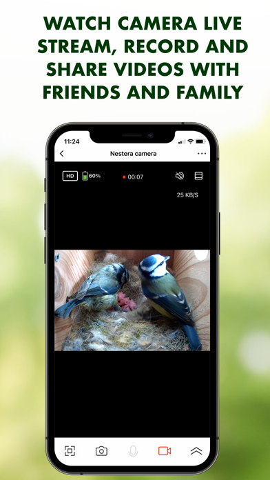 Nestera Bird Cam Screenshot