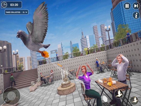 Pigeon Bird Flying Simulator