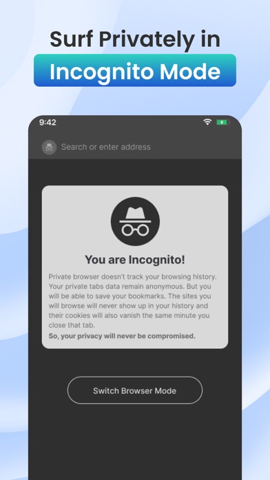 Private Browser-Incognito Mode Screenshot
