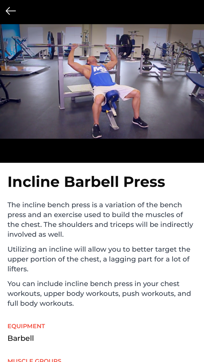 Transform With Workouts