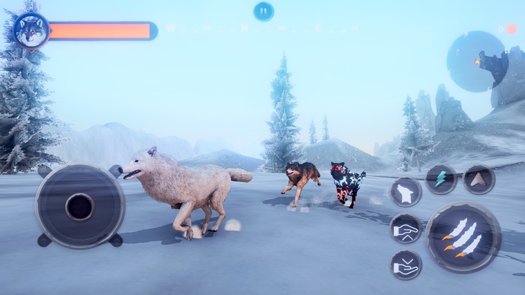 Wild Wolf Animals Simulator 3d