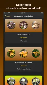 learn forest mushrooms problems & solutions and troubleshooting guide - 4
