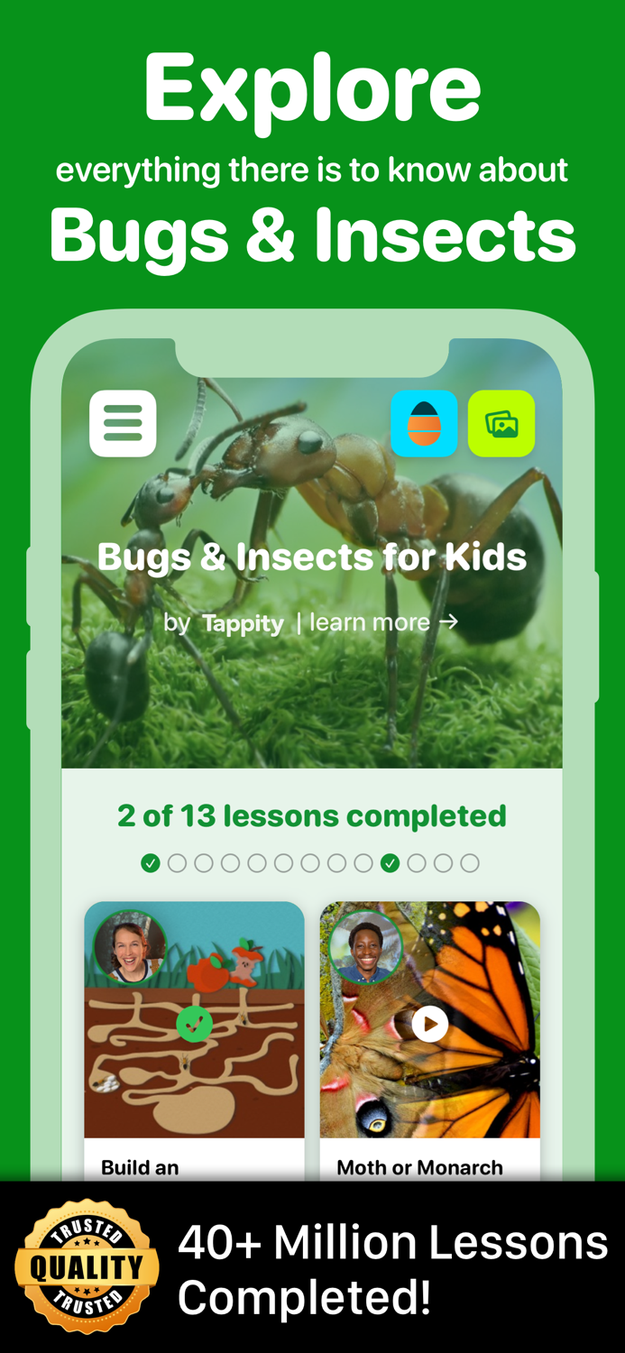Fun Insects and Bugs for Kids