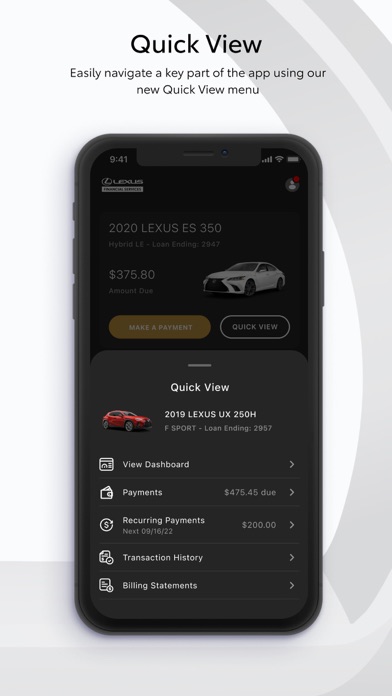 Lexus Financial Services Screenshot