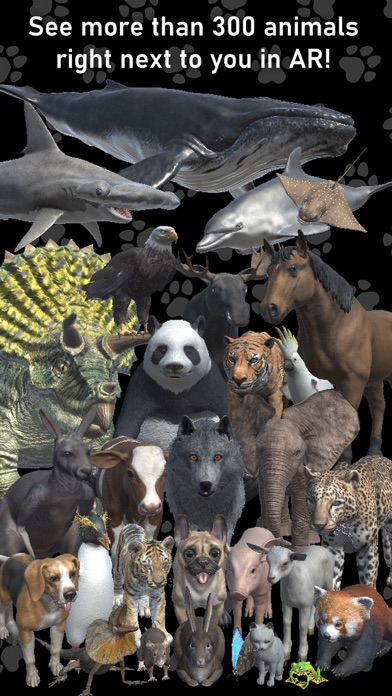 Eugene's AR: 3D Animal Pet Zoo Screenshot
