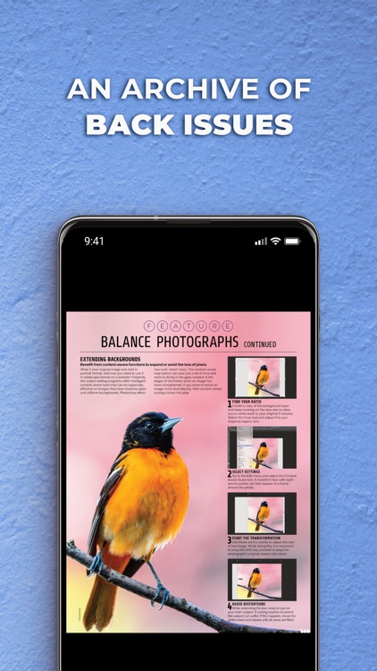 Photography Week screenshot-3