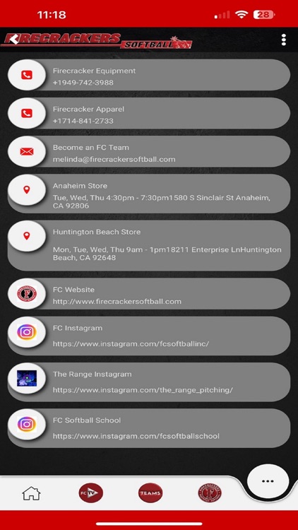 Firecracker Softball screenshot-5