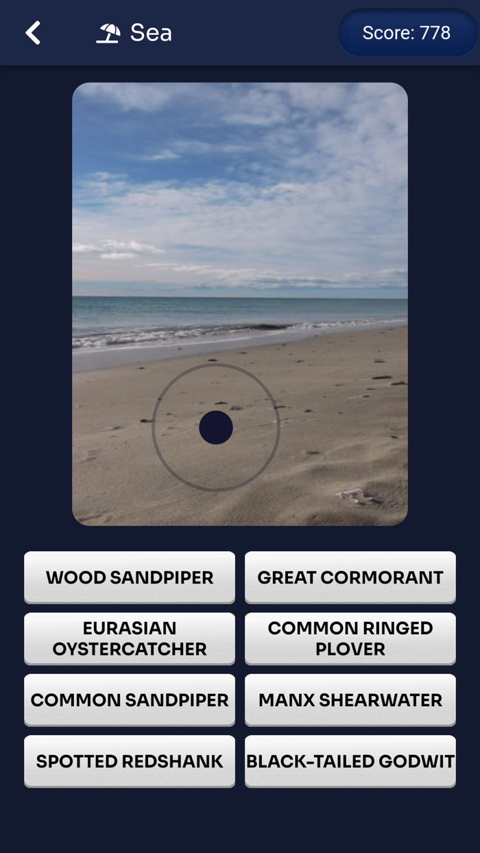 Bird Melody - Birds of Europe