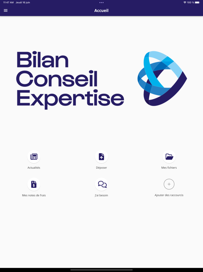 Bilan Conseil Expertise