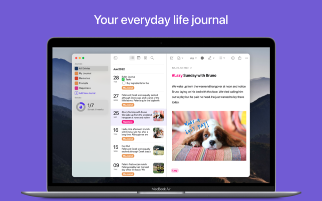 GoJournal: يوميات ولقطة شاشة مخطط