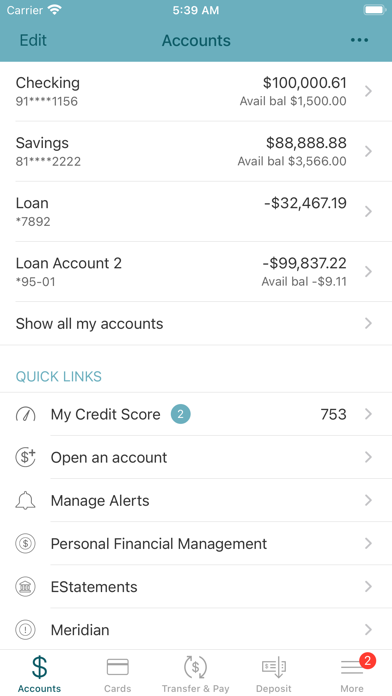 Skyline National Bank Screenshot