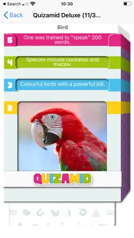 Game screenshot QUIZAMID apk