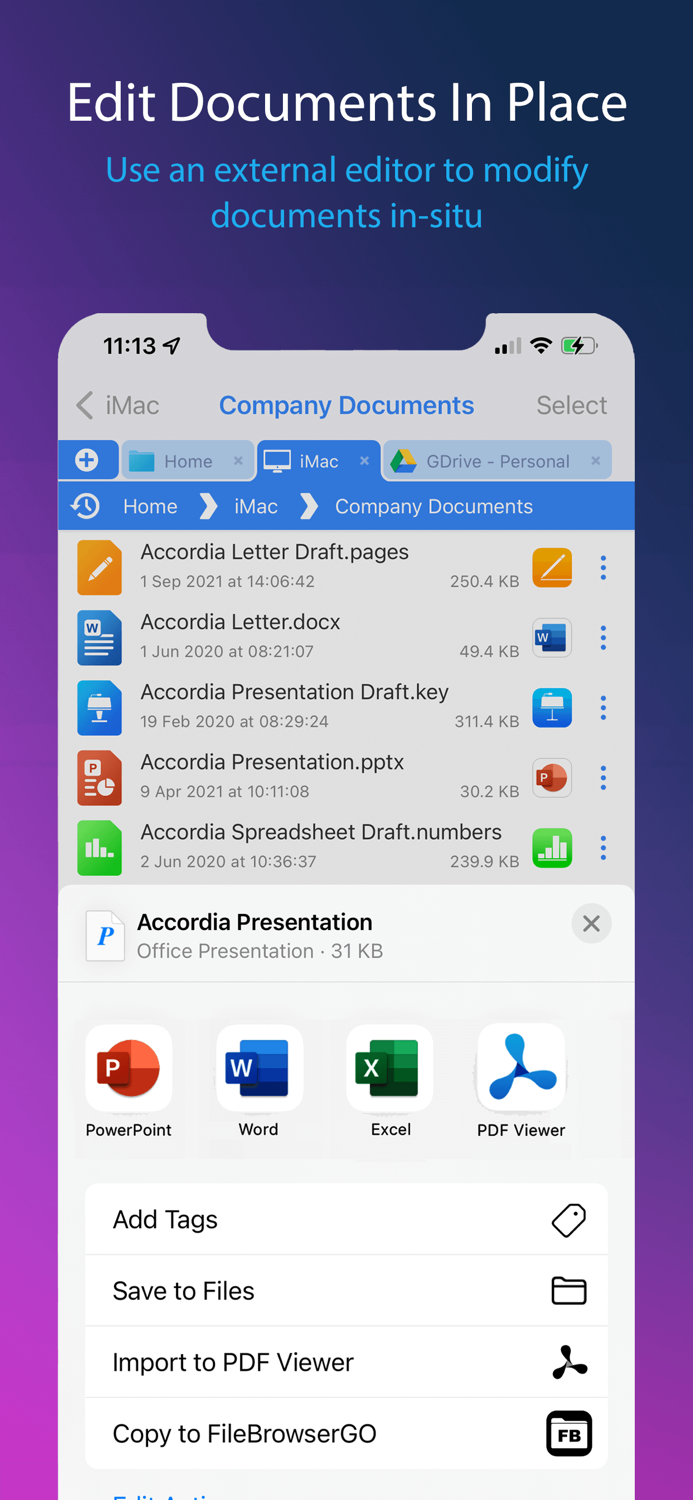 FileBrowserGO File Manager