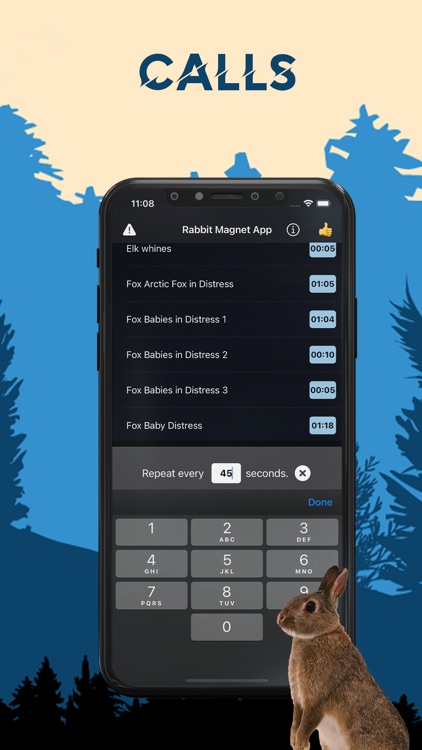 Rabbit Magnet - Rabbit Sounds
