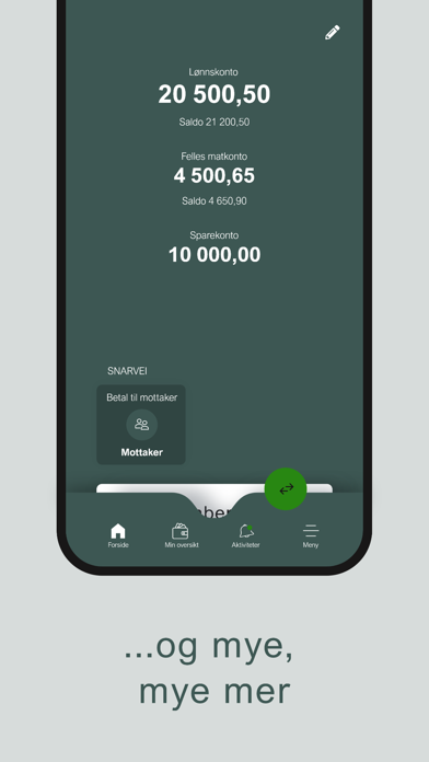 Ørland Mobilbank Screenshot