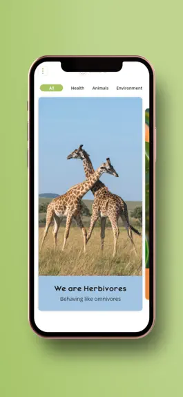 Game screenshot Ecoshe Vegan Flashcard Quiz apk