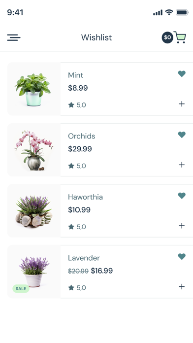 Everbloom - Plant Online Store Screenshot