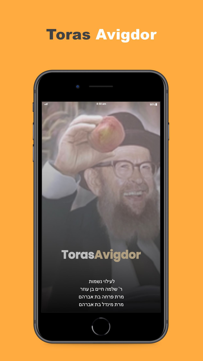 Toras Avigdor Miller