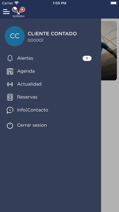 Suizpaddle Screenshot