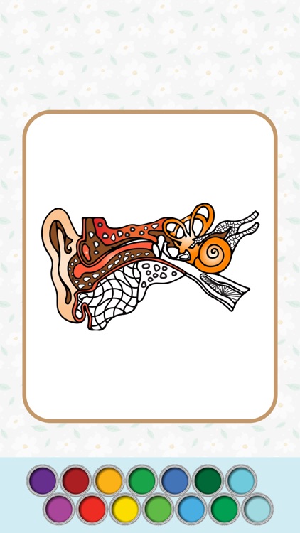 Anatomy Coloring Book.