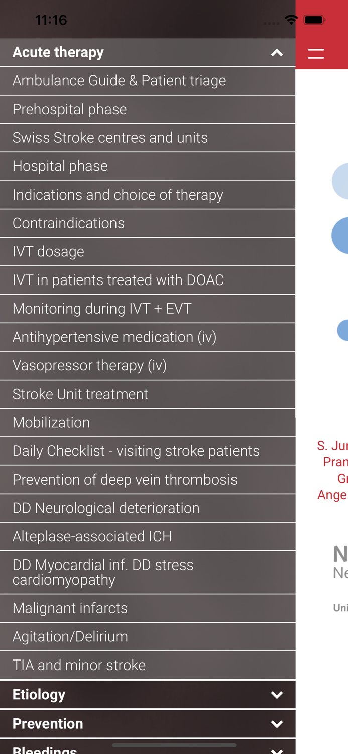 Stroke Guidelines Bern