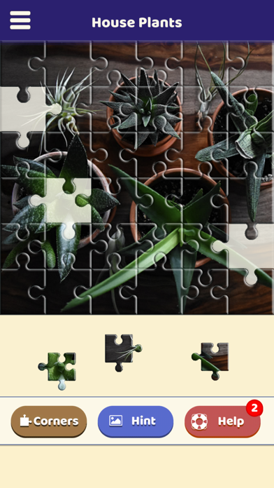 House Plants Puzzle Screenshot