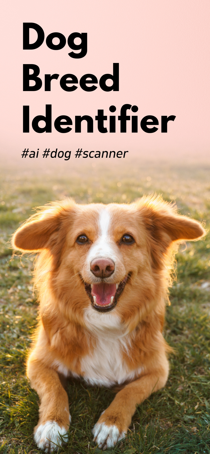 Dog Scanner Breed Identifier