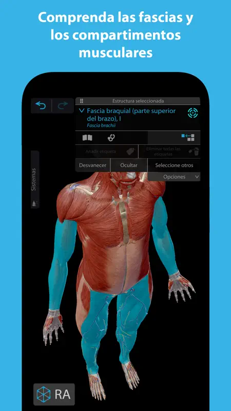Músculos & Kinesiología screenshot 4 of 5