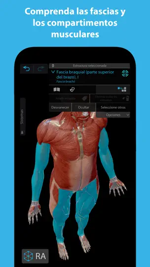 Captura de pantalla de Músculos & Kinesiología en iPhone 4