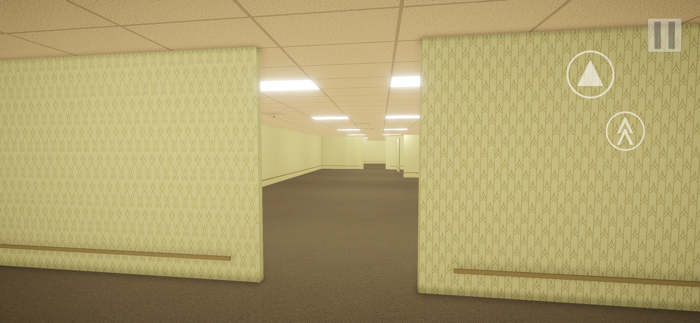 The Backrooms Simulator