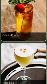 cocktail recipes plus iphone screenshot 4