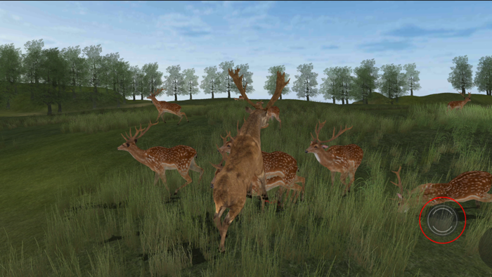 Life Of Deer Remastered