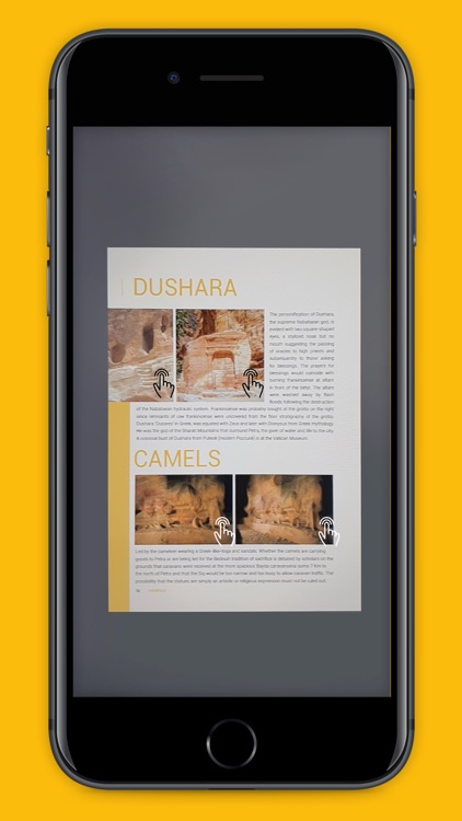 Petra Immersive Brochure screenshot-3