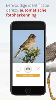 vogels van nederland en belgië iphone screenshot 3