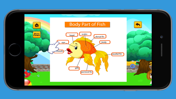 English Vocabulary Beginner