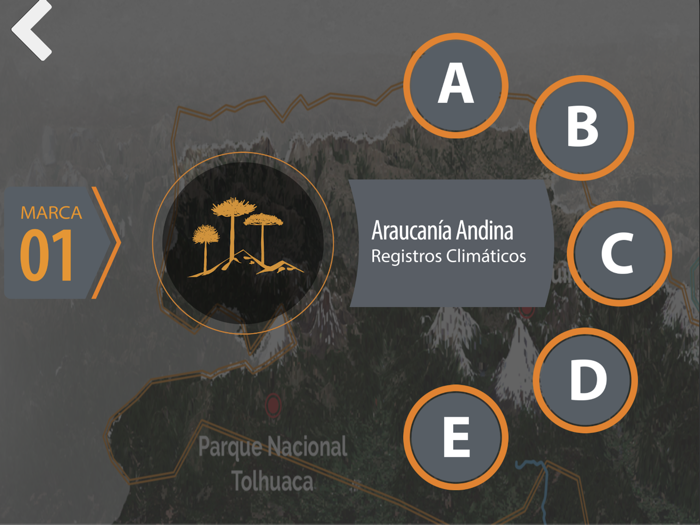MICA - Región de La Araucanía