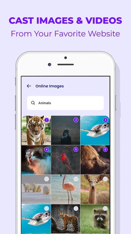 Web Video Caster screenshot-4