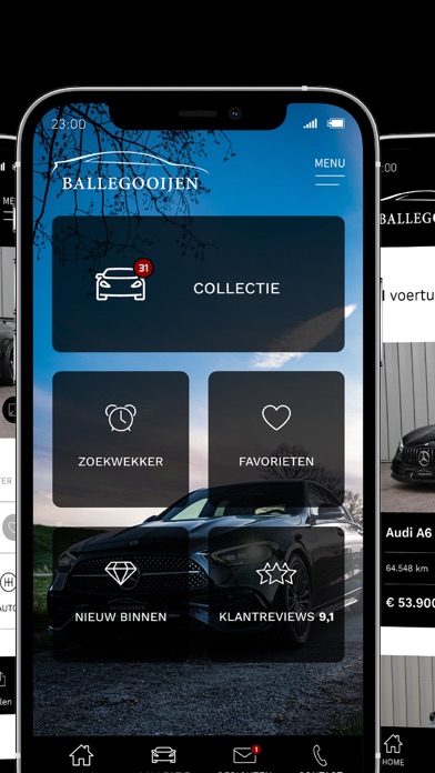 Van Ballegooijen Auto Screenshot