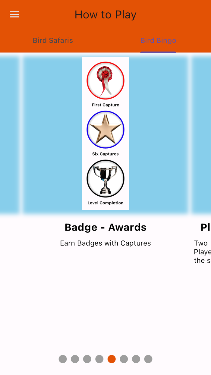 BirdBingoBirdWatching Safaris