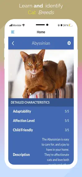 Game screenshot Cat Breeds guide and quiz hack