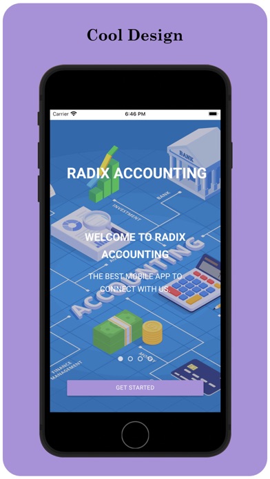 Radix Accounting Screenshot