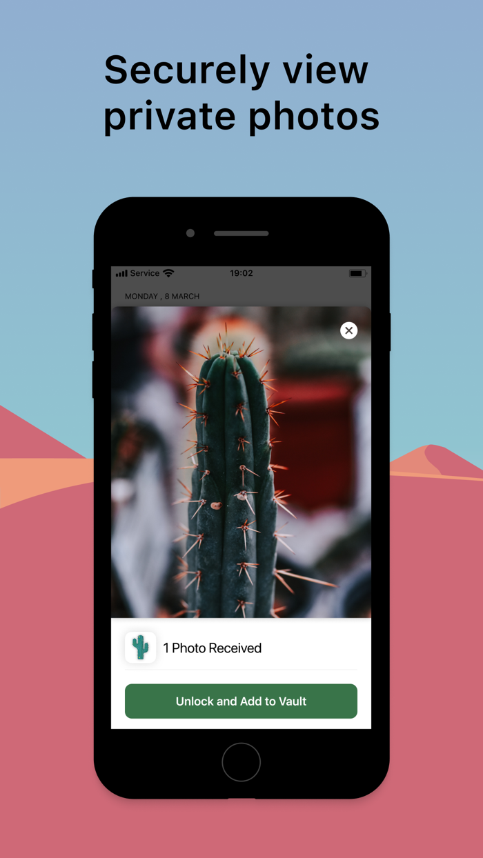 Cacti AI-Powered Photo Vault