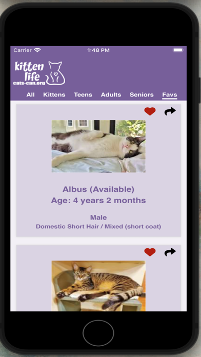 Cats-can inc Screenshot