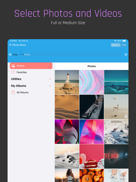 Photo Boss for OneDrive iPad screenshot 3 - Photo & Video app