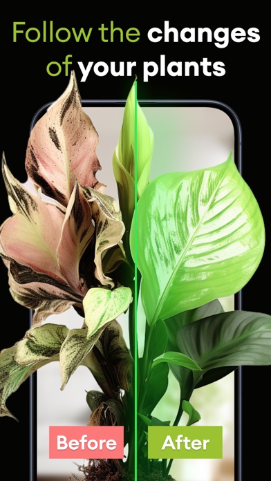 AI Plant Identifier: PlantProのおすすめ画像5