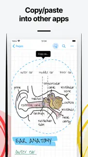 nebo viewer: sync & read notes problems & solutions and troubleshooting guide - 2