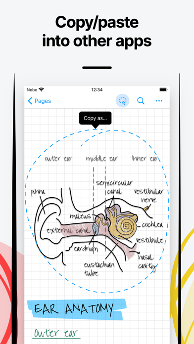 Nebo Viewer: sync & read notes Screenshot