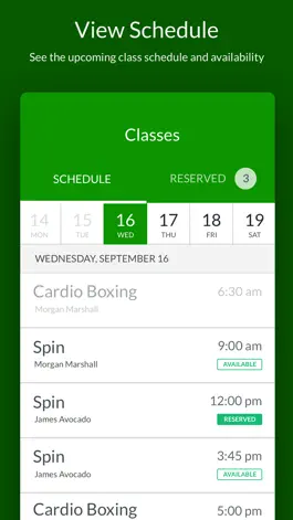 Game screenshot Celtic Eagles Boxing Club mod apk