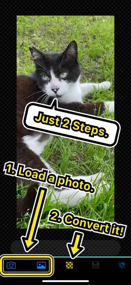 Game screenshot Dot Style - Convert to Pixel! apk